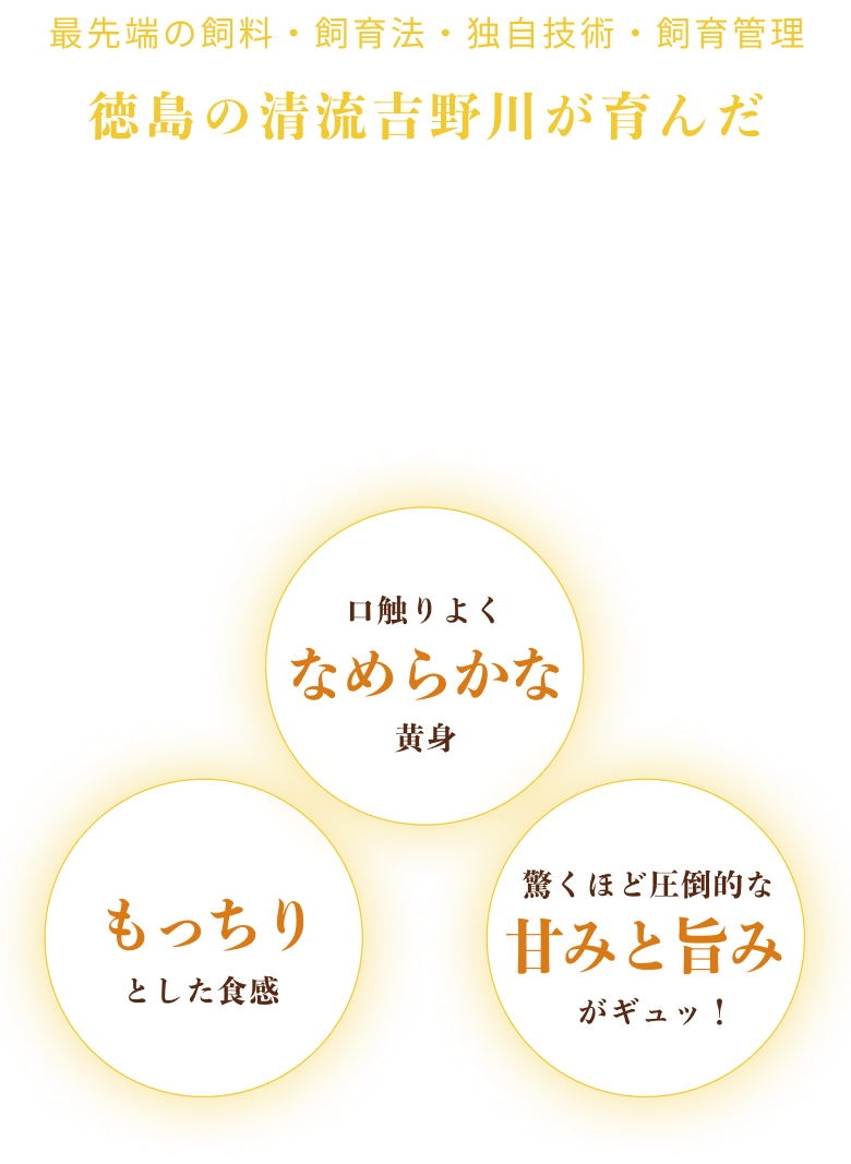 徳島の清流が育んだ最先端の技術