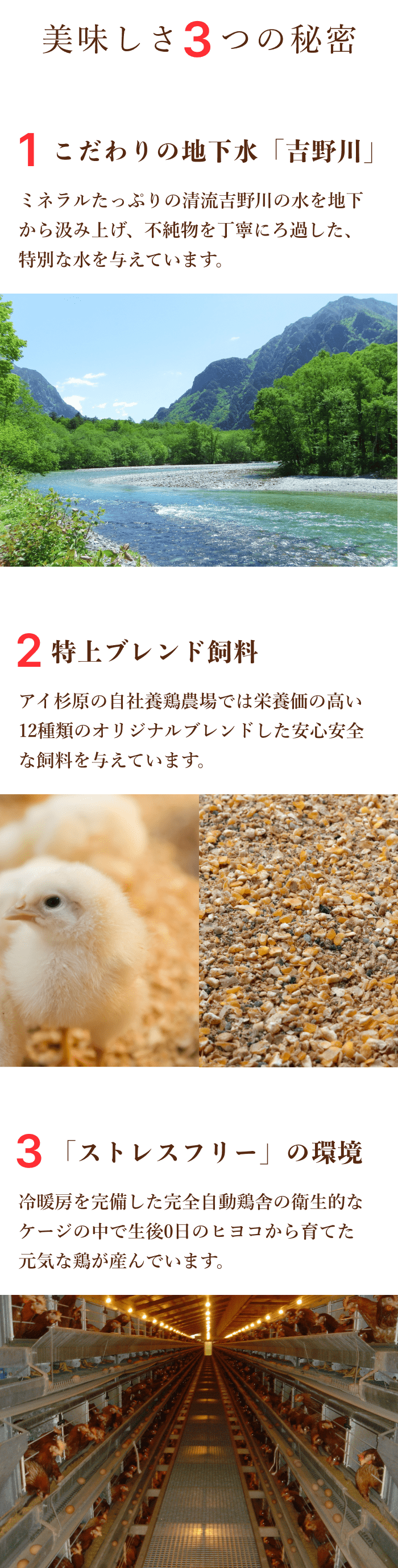 美味しさ３つの秘密